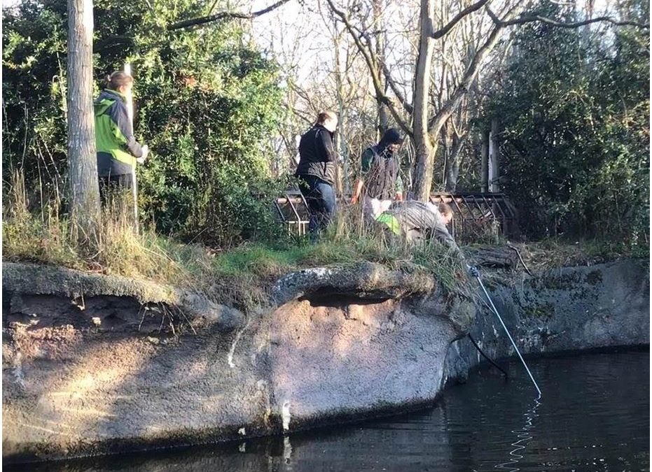 Whitney Equipment Helping With Woodland Park Zoo’s Hippo Pond